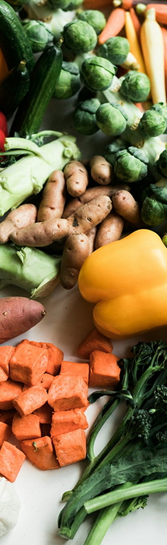 Vegetables and Fruits