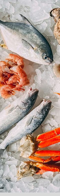 Fish or Meats